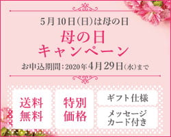 母の日キャンペーン