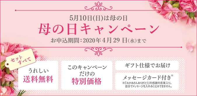 母の日キャンペーン