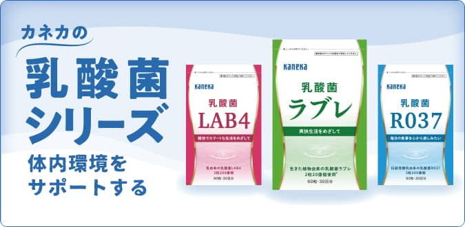 乳酸菌シリーズ